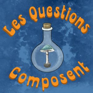 Les Questions Composent logo sur fond bleu