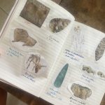 journal de voyage